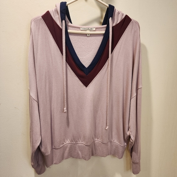 EXPRESS women's Pullover Hoddie Rose Relaxed fit V Neck Sweater size M - Picture 1 of 8